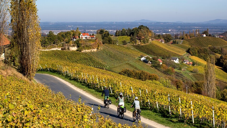 Radfahren Weinland Steiermark Radtour Variante Südsteiermark COPY - Touren-Impression #2.1 | © Steiermark Tourismus