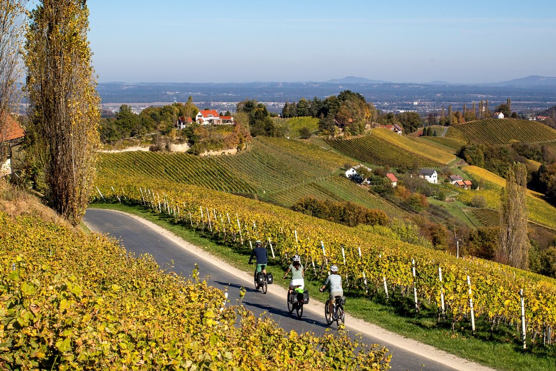 Radfahren Weinland Steiermark Radtour Variante Südsteiermark COPY - Touren-Impression #1 | © Steiermark Tourismus