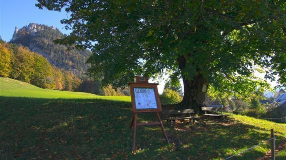 Cycling Blaa Alm - Pflindsberg - Touren-Impression #2.1 | © Ausseerland