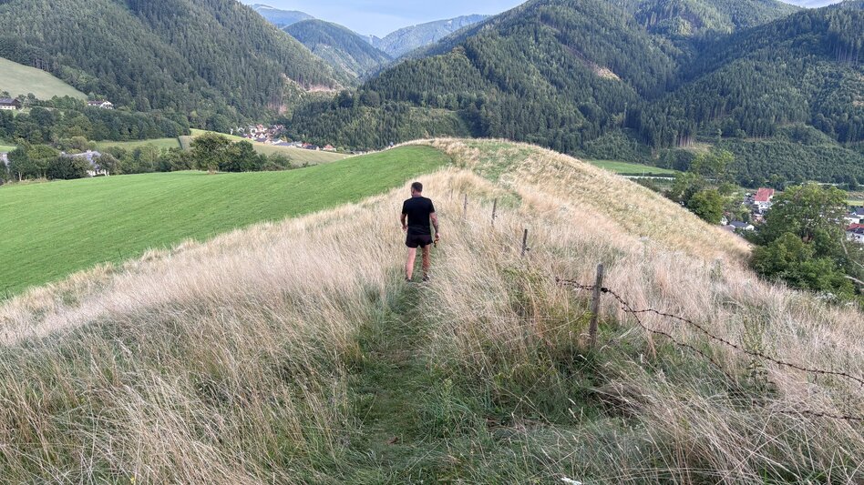 Themen- und Lehrpfad Waldlehrpfad/Pampichler-Warte/Kalvarienbergweg - Touren-Impression #2.3 | © TVB Erzberg-Leoben