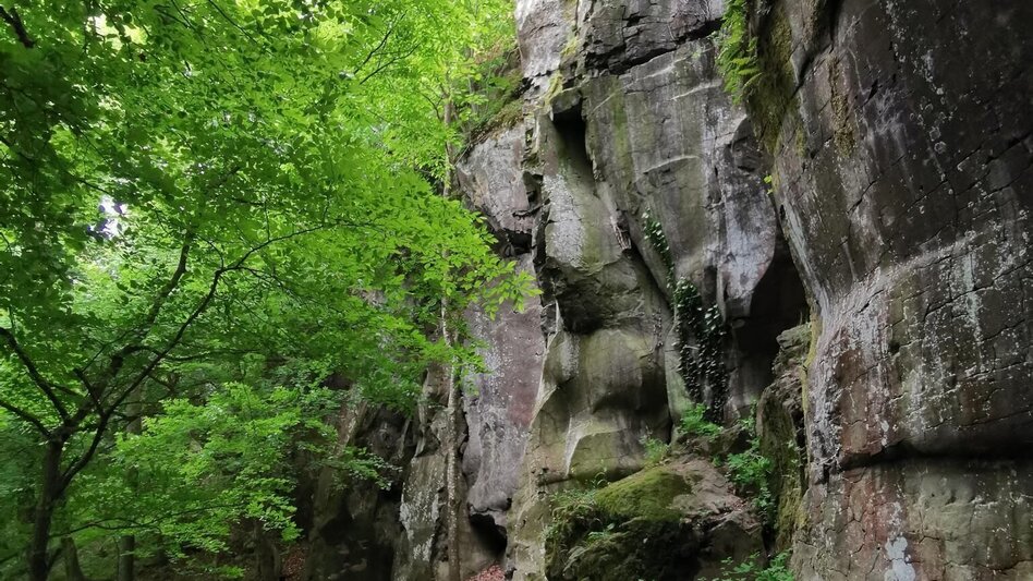 Wanderung 3-Kogel-Weg - Touren-Impression #2.13 | © Community