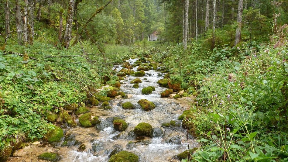Wanderung Siebenseerunde Wildalpen - Touren-Impression #2.2 | © Tourismusverband Wildalpen