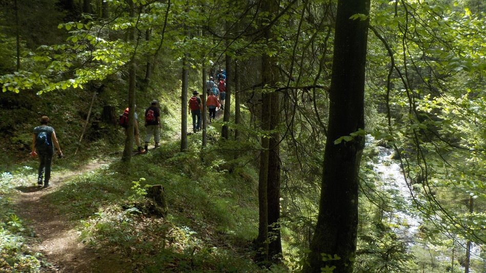 Wanderung Siebenseerunde Wildalpen - Touren-Impression #2.4 | © Tourismusverband Wildalpen
