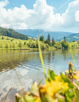 Badeteich Mühlen | René Hochegger | © Tourismusverband Murau