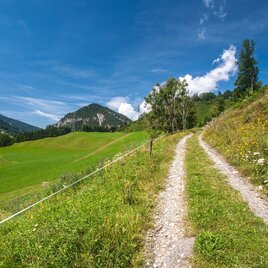 Auf dem Weg Richtung Aberg | © Gerhard Pilz