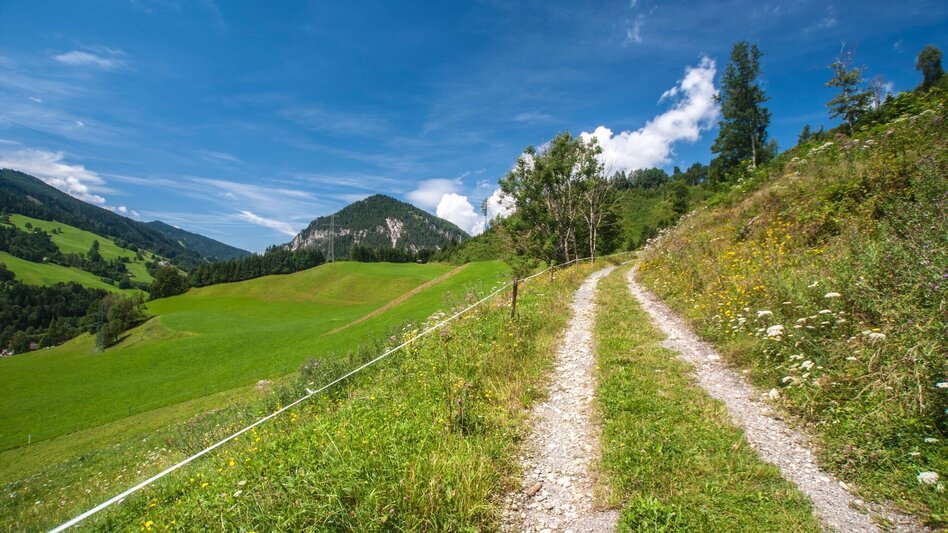 Hiking Route Pichl Trail - Touren-Impression #2.1 | © Gerhard Pilz
