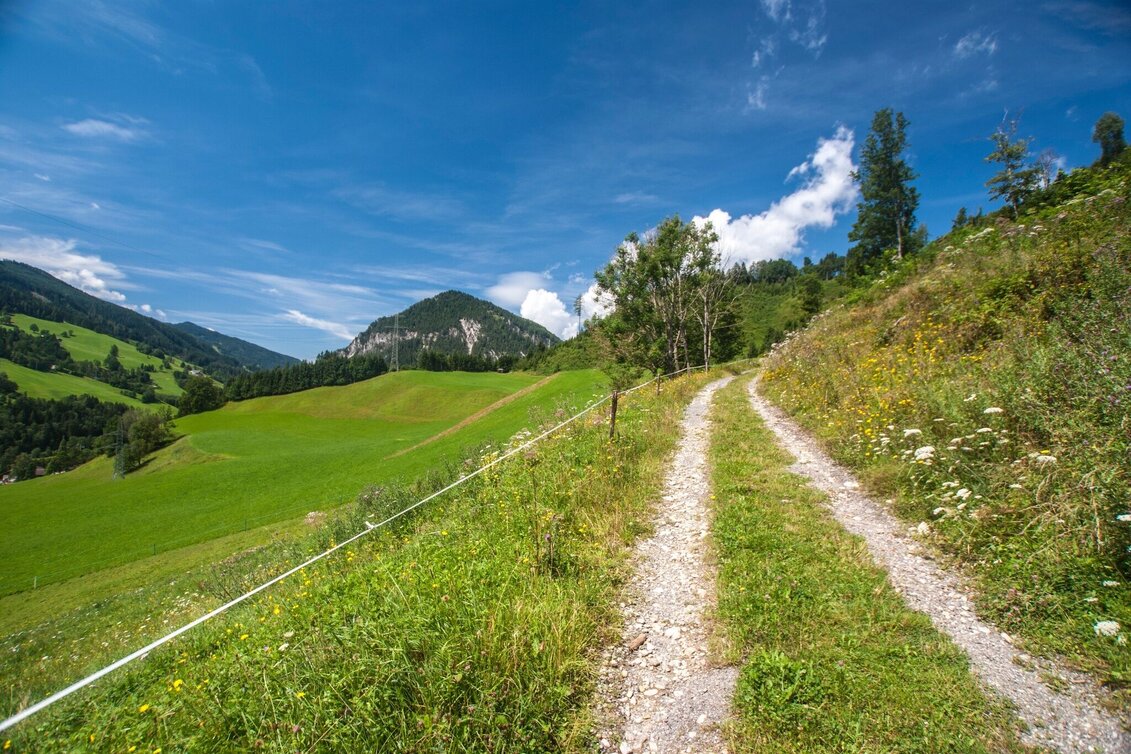 Hiking Route Pichl Trail - Touren-Impression #1 | © Gerhard Pilz