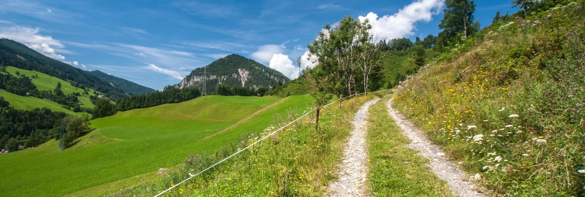 Hiking route Pichl Trail - Touren-Impression #1 | © Gerhard Pilz