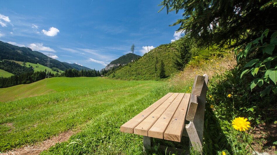 Hiking Route Pichl Trail - Touren-Impression #2.3 | © Gerhard Pilz - www.gpic.at