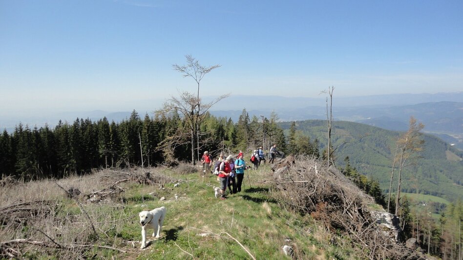 Hiking Route R15 Niederschöcklweg - Touren-Impression #2.4 | © Region Graz