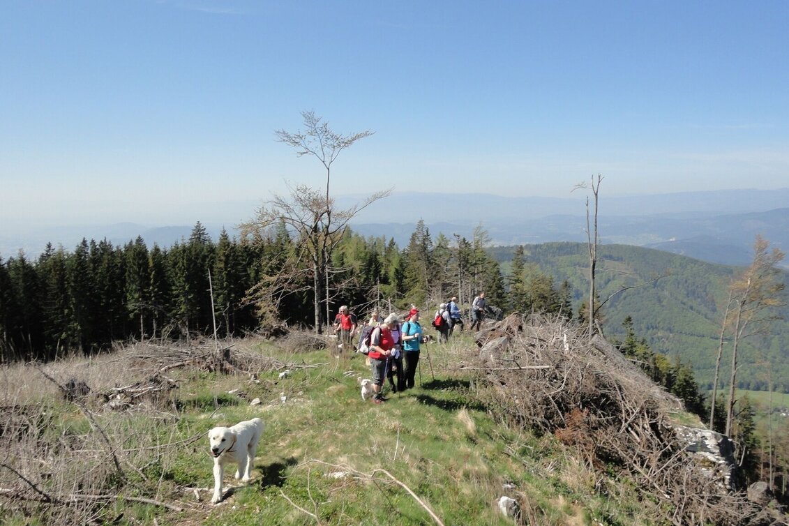 Hiking Route Niederschöcklweg (R15) - Touren-Impression #1 | © Region Graz