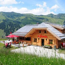 Oxenalm in Berglandschaft | © Erlebnisregion Schladming-Dachstein