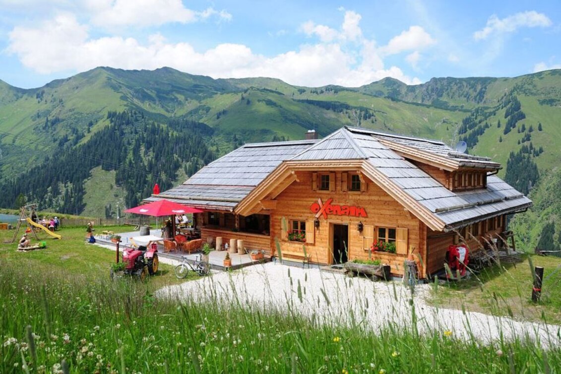 Mountain Biking Bike & Hike Riesneralm via Oxenalm - Touren-Impression #1 | © Erlebnisregion Schladming-Dachstein