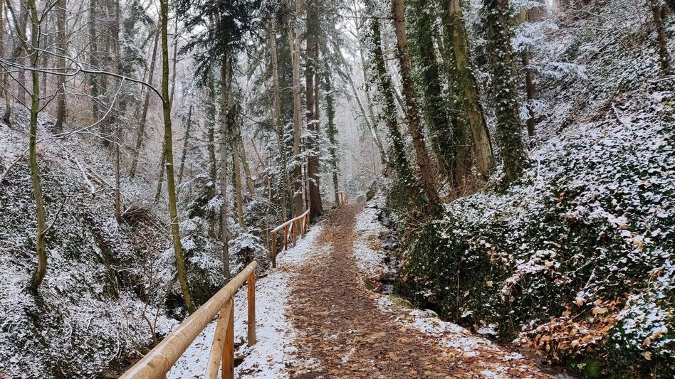 Wanderung Ringwarte-Runde, Hartberg - Touren-Impression #2.14 | © Oststeiermark Tourismus