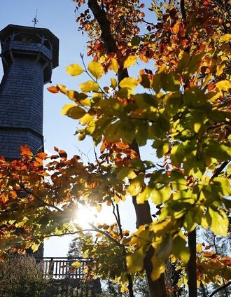 Ringwarte Hartberg in herbstlicher Sonne | XNicole Friesenbichler | © Oststeiermark Tourismus