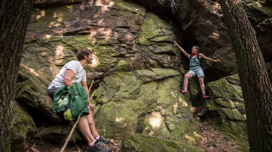 Wanderung Ringwarte-Runde, Hartberg - Touren-Impression #2.12 | © Oststeiermark Tourismus