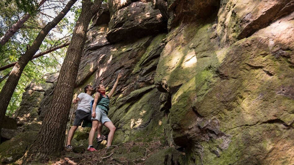 Wanderung Ringwarte-Runde, Hartberg - Touren-Impression #2.13 | © Oststeiermark Tourismus