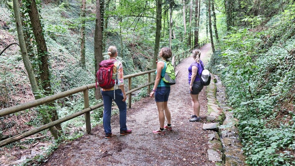 Wanderung Ringwarte-Runde, Hartberg - Touren-Impression #2.6 | © Weges OG