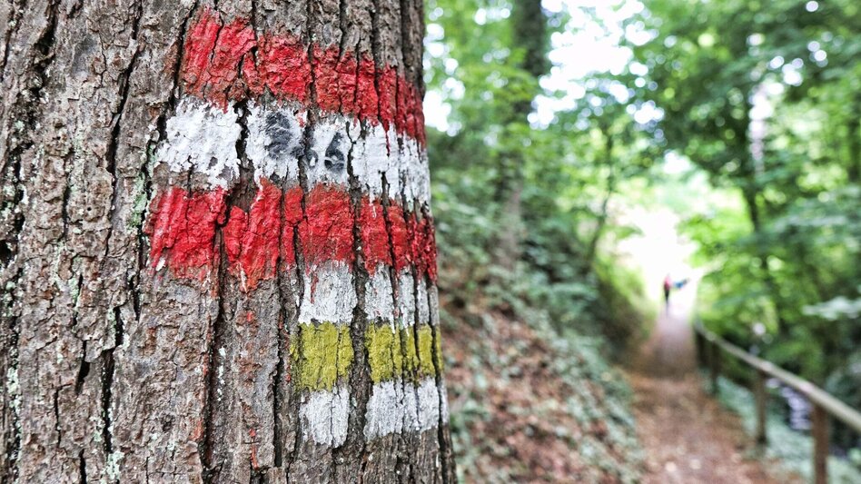Wanderung Ringwarte-Runde, Hartberg - Touren-Impression #2.4 | © Weges OG