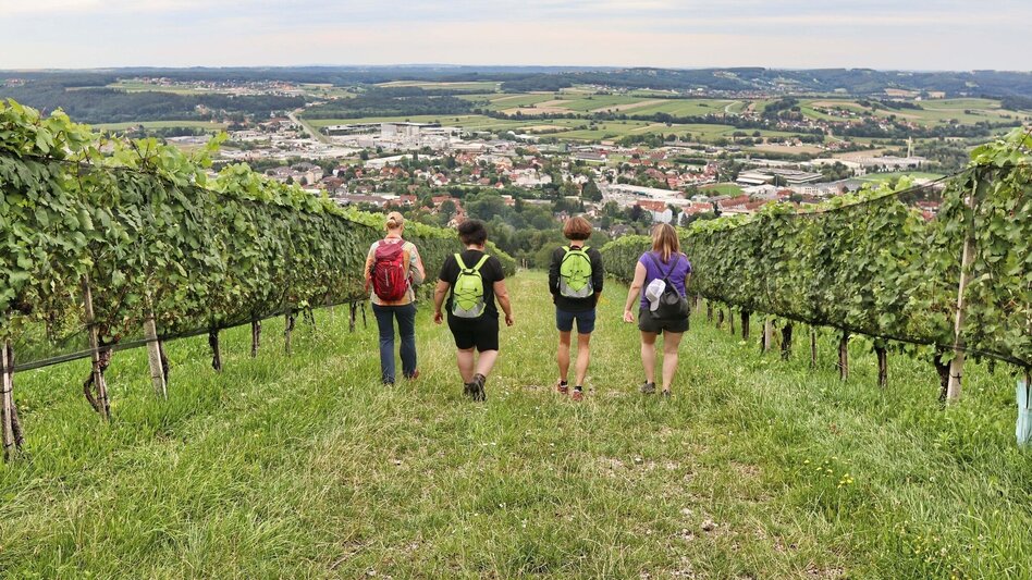Wanderung Ringwarte-Runde, Hartberg - Touren-Impression #2.11 | © Weges OG