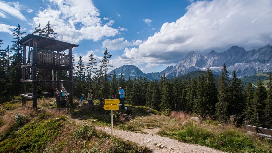 Wanderung Rittispanoramaweg - Touren-Impression #2.4 | © Gerhard Pilz - www.gpic.at