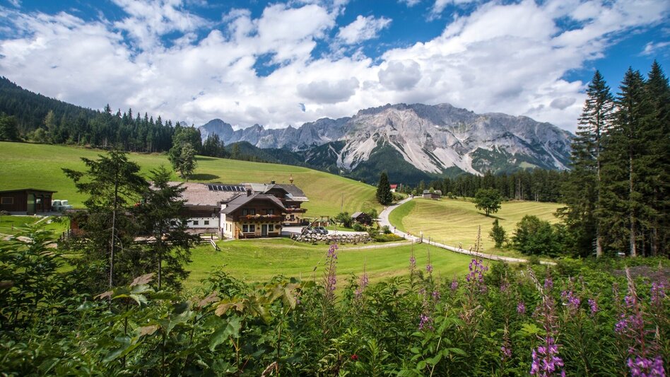 Wanderung Rittispanoramaweg - Touren-Impression #2.1 | © Gerhard Pilz - www.gpic.at
