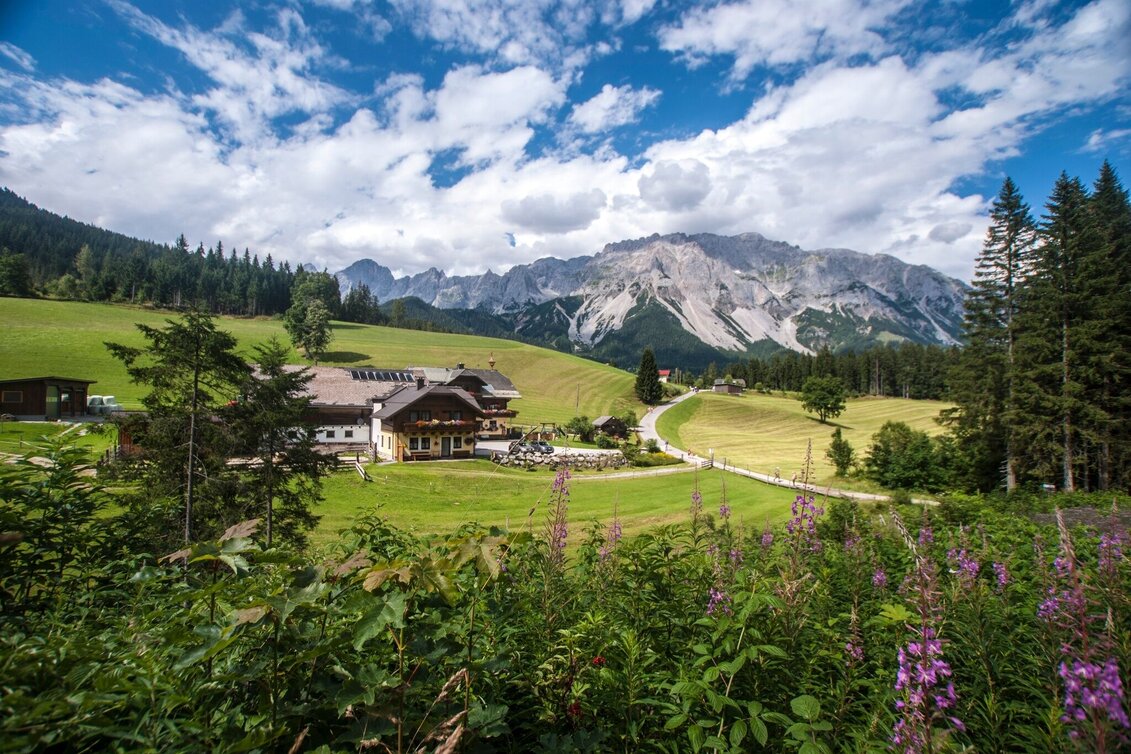 Wanderung Rittispanoramaweg - Touren-Impression #1 | © Gerhard Pilz - www.gpic.at