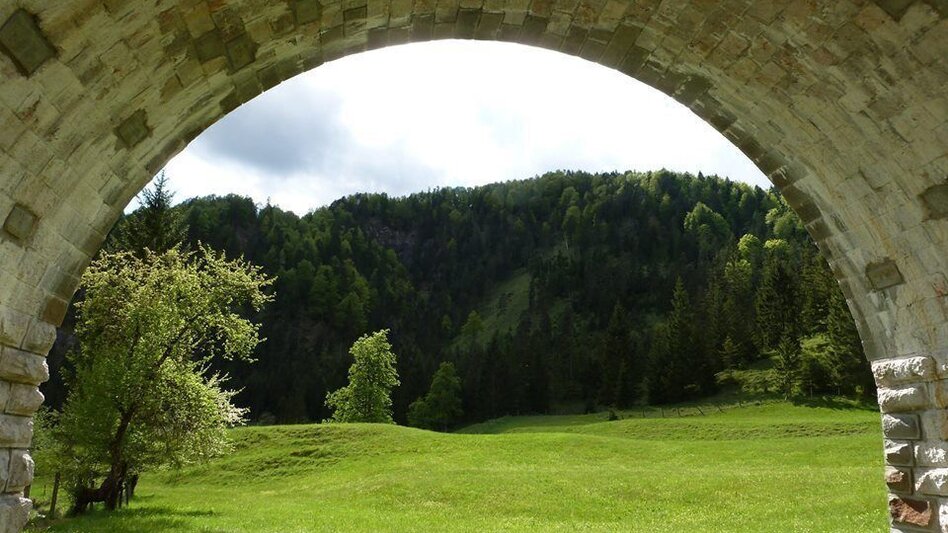 Mountainbike Wildalpen Rundfahrt - Touren-Impression #2.1 | © Tourismusverband Wildalpen