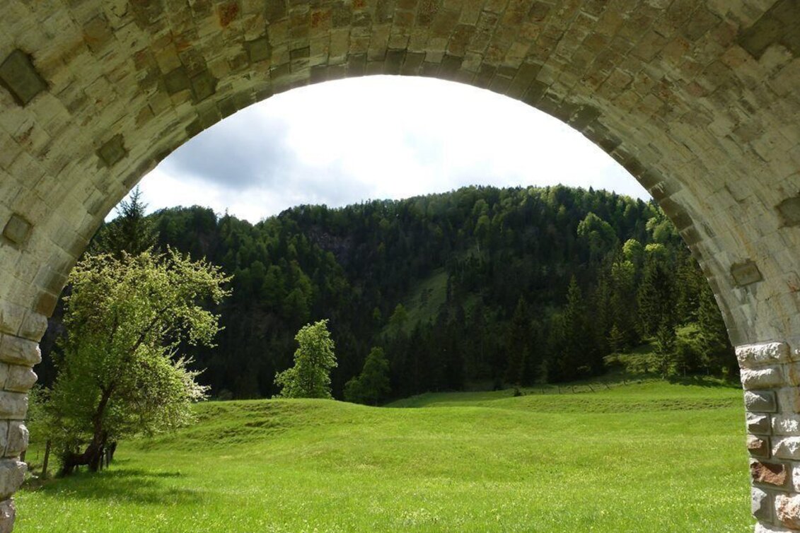 Mountainbike Wildalpen Rundfahrt - Touren-Impression #1 | © Tourismusverband Wildalpen