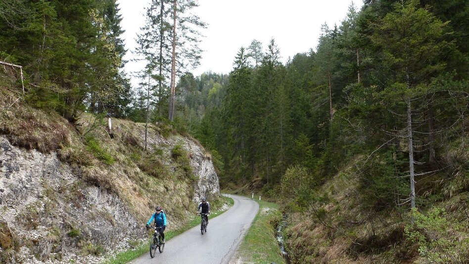 Mountainbike Wildalpen Rundfahrt - Touren-Impression #2.2 | © Tourismusverband Wildalpen