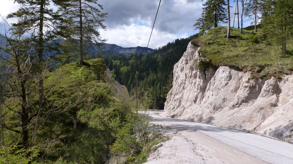 Mountainbike Wildalpen Rundfahrt - Touren-Impression #2.3 | © Tourismusverband Wildalpen