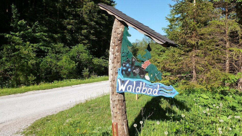 Mountainbike Wildalpen Rundfahrt - Touren-Impression #2.9 | © Tourismusverband Wildalpen
