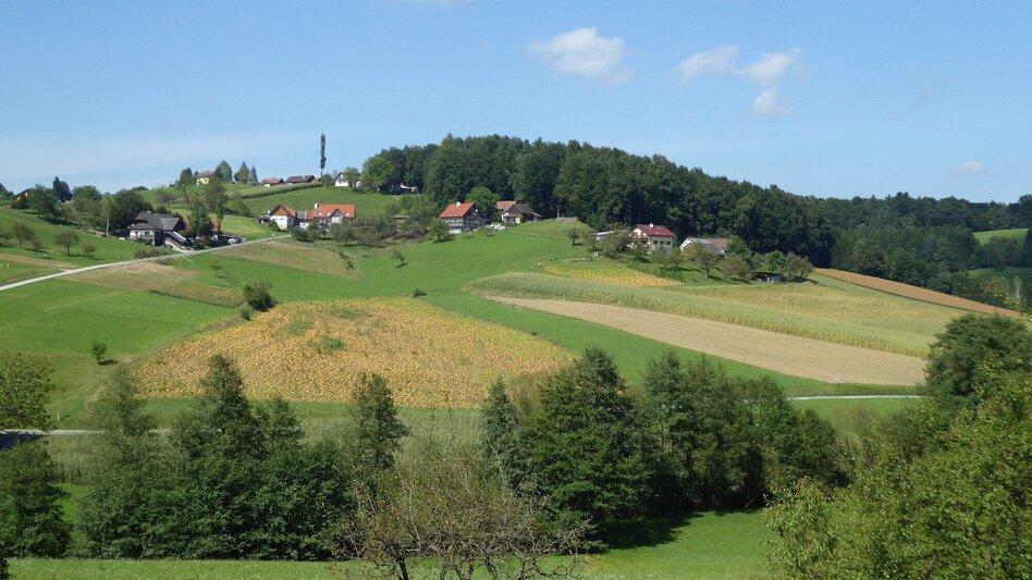 Hiking Route Archaeological Trail 2 around St. Martin im Sulmtal - Touren-Impression #2.1 | © TVB/Südsteiermark/Christian Heugl