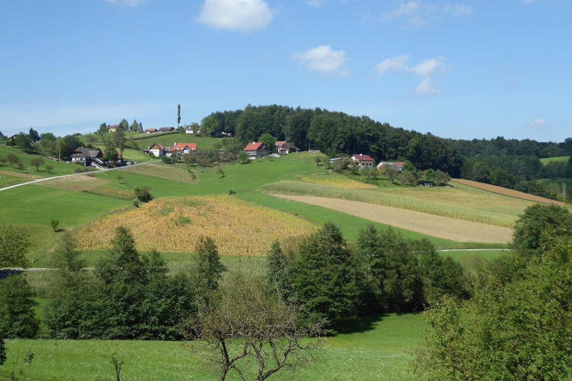 Hiking Route Archaeological Trail 2 around St. Martin im Sulmtal - Touren-Impression #1 | © TVB/Südsteiermark/Christian Heugl