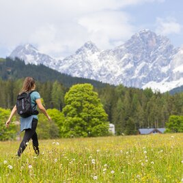 Hiking on the Vorbergrunde