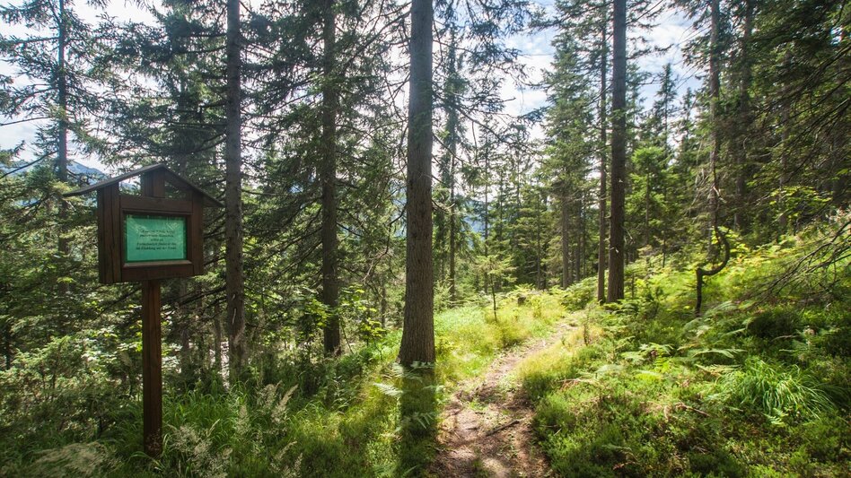 Wanderung Vorberger Weg der Besinnung - Touren-Impression #2.1 | © Gerhard Pilz