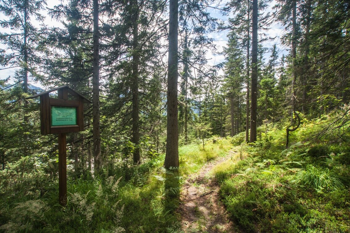 Wanderung Vorberger Weg der Besinnung - Touren-Impression #1 | © Gerhard Pilz