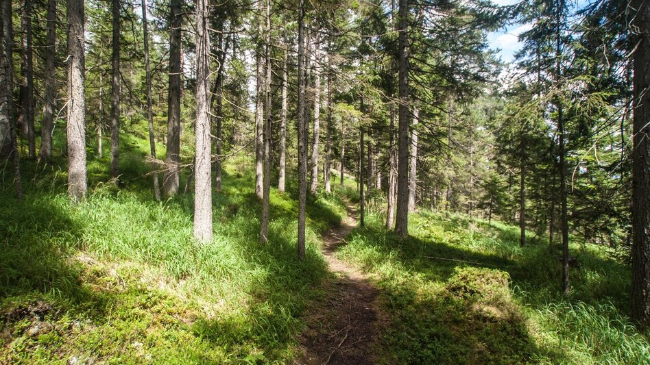 Wanderung Vorberger Weg der Besinnung - Touren-Impression #2.2 | © Gerhard Pilz