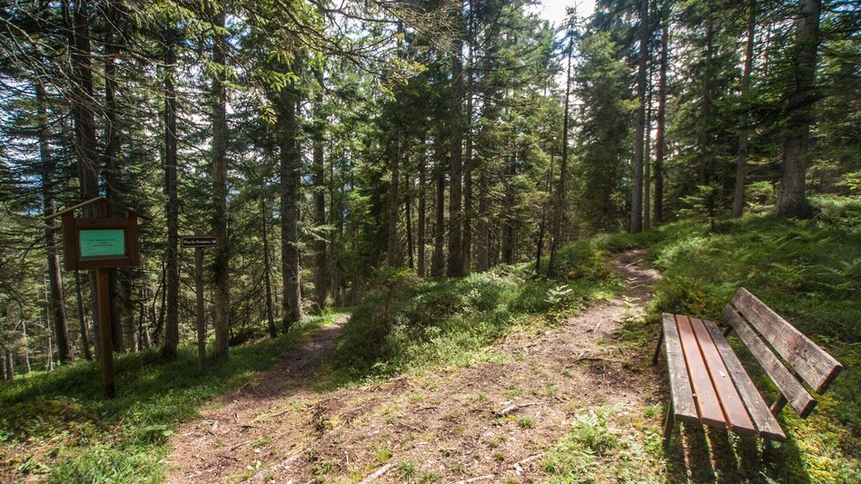 Wanderung Vorberger Weg der Besinnung - Touren-Impression #2.3 | © Gerhard Pilz