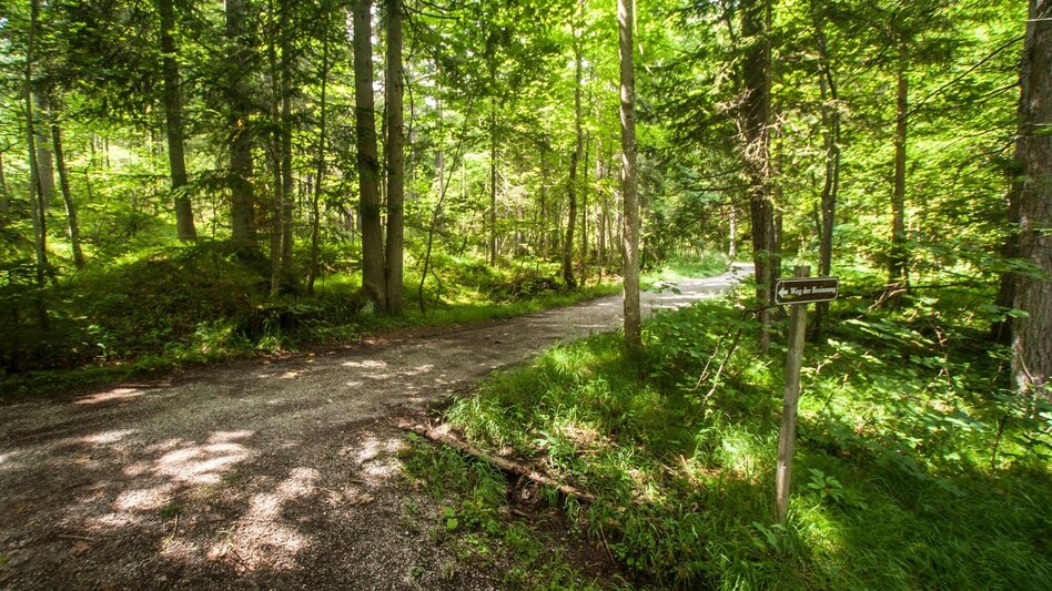 Wanderung Vorberger Weg der Besinnung - Touren-Impression #2.4 | © Gerhard Pilz