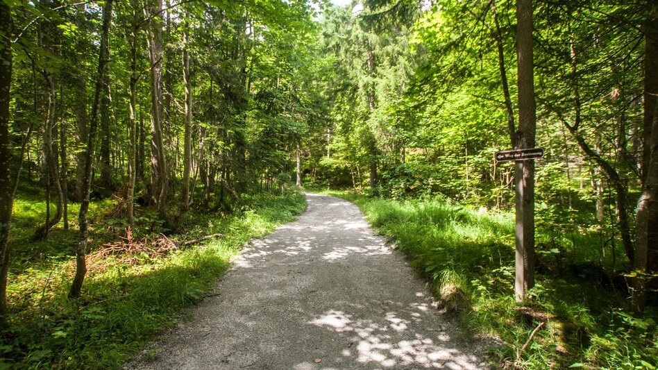 Wanderung Vorberger Weg der Besinnung - Touren-Impression #2.5 | © Gerhard Pilz