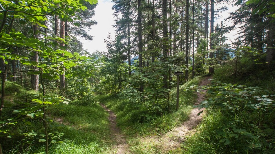 Wanderung Vorberger Weg der Besinnung - Touren-Impression #2.6 | © Gerhard Pilz