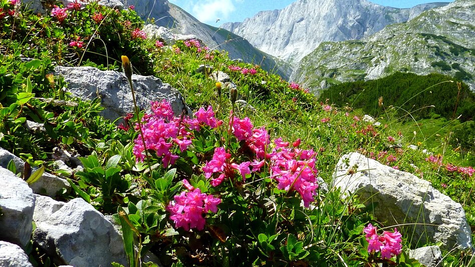 Wanderung Etappe 03: BergZeitReise Sonnschienalm - Hochschwab - Voisthalerhütte - Seewiesen - Touren-Impression #2.1 | © TV Hochsteiermark