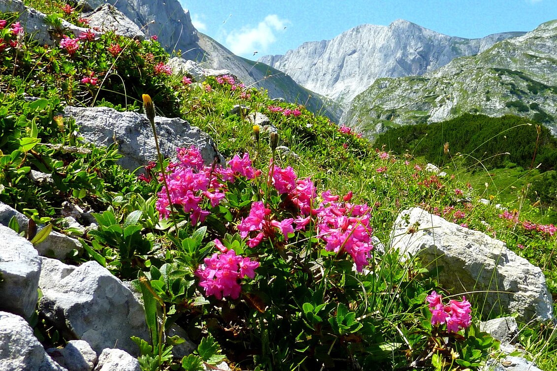 Wanderung Etappe 03: BergZeitReise Sonnschienalm - Hochschwab - Voisthalerhütte - Seewiesen - Touren-Impression #1 | © TV Hochsteiermark