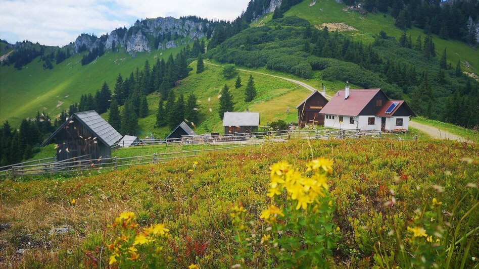 Wanderung Etappe 06: BergZeitReise Niederalpl - Hohe Veitsch - Neuberg an der Mürz - Touren-Impression #2.4 | © TV Hochsteiermark