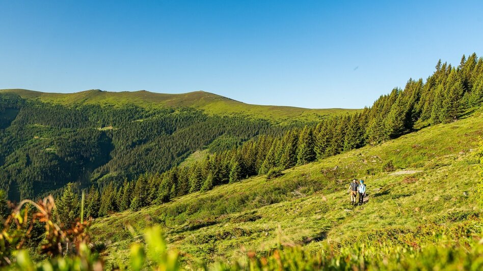 Wanderung "Über Alm und Stein" - Vom Salzstiegl auf den Amering - Touren-Impression #2.9 | © Region Graz