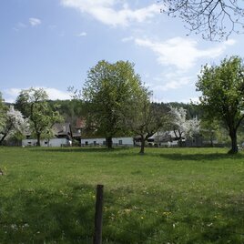 Unterwegs am Pürglitz-Rundwanderweg | © Erlebnisregion Schladming-Dachstein