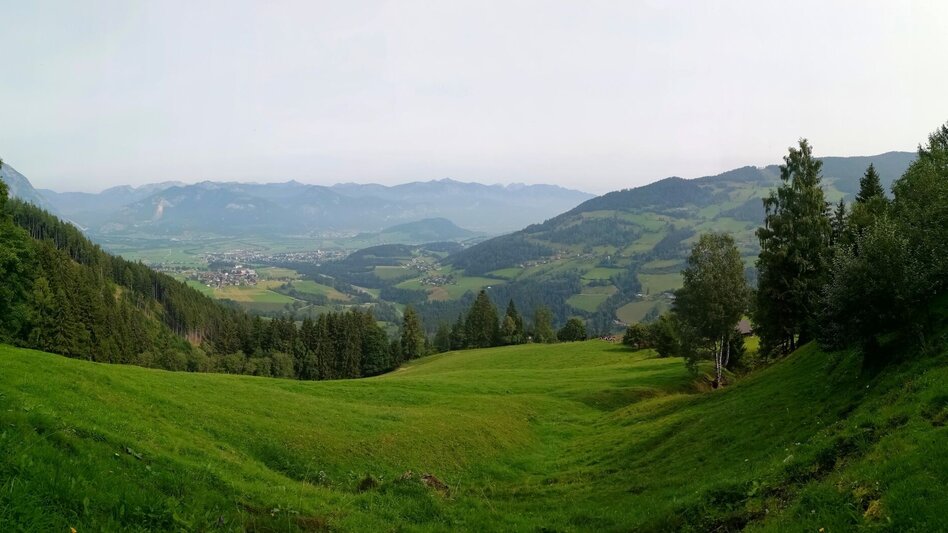 Wanderung Obermoser-Rundwanderweg - Touren-Impression #2.1 | © Erlebnisregion Schladming-Dachstein