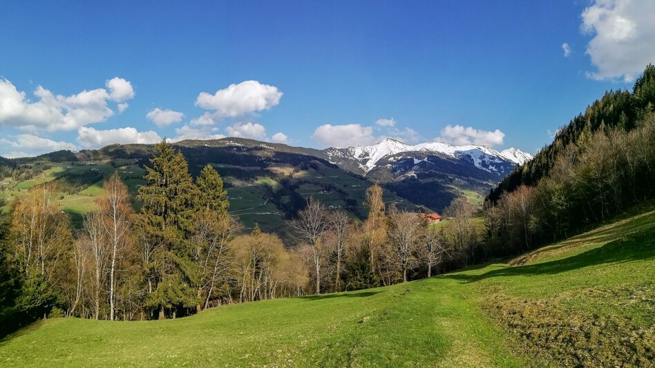 Wanderung Obermoser-Rundwanderweg - Touren-Impression #2.2 | © Erlebnisregion Schladming-Dachstein