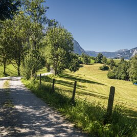 20250808_Aigen-Gatschberg-Donnersbach_4024.jpg | © Gerhard Pilz